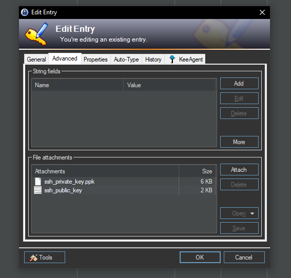 Bild des KeePass Dialogs